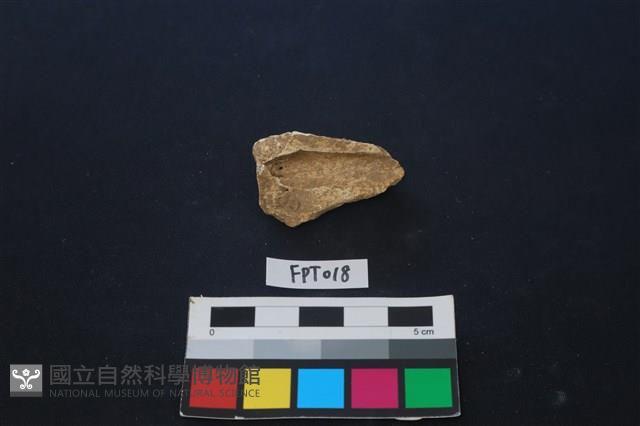 鹿骨藏品圖，第2張
