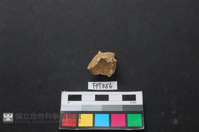 鹿骨藏品圖，第3張