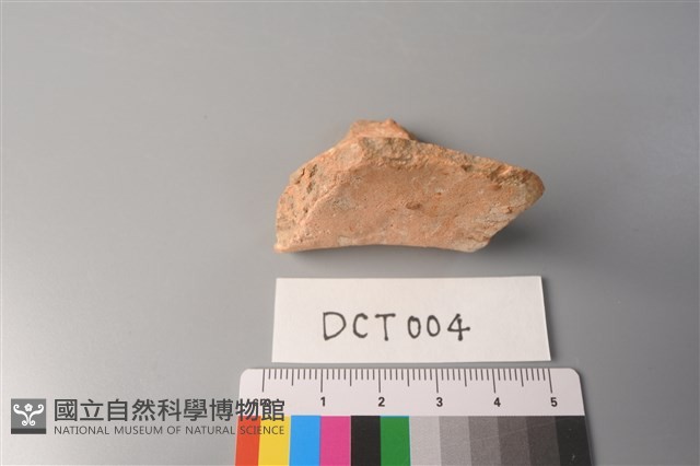 陶片藏品圖，第3張