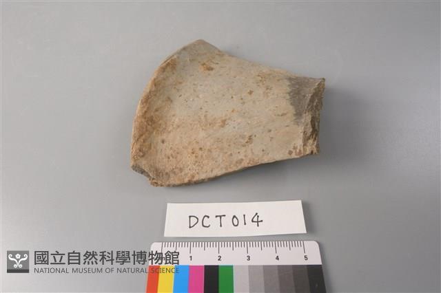 陶片藏品圖，第3張