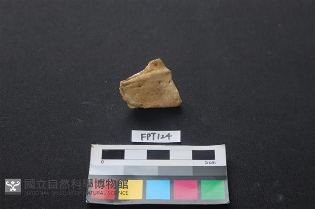 獸骨藏品圖，第2張