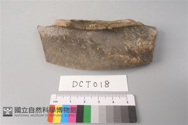 陶片藏品圖，第3張