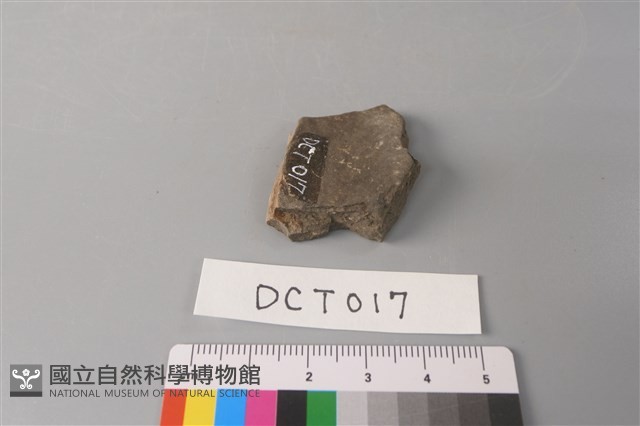 陶片藏品圖，第3張