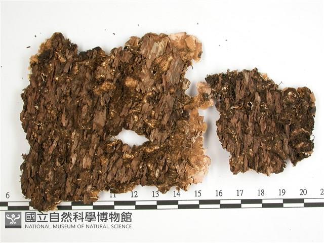 糖兜衣藏品圖，第4張