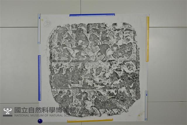 武梁祠畫像石拓片59藏品圖，第3張