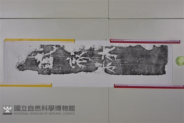 武梁祠畫像石拓片66藏品圖，第3張