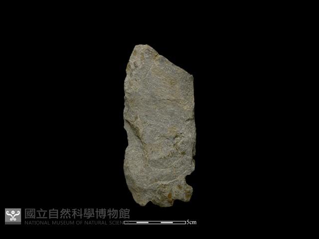 Accession Number:PTP-2014-092 Collection Image, Figure 1, Total 2 Figures