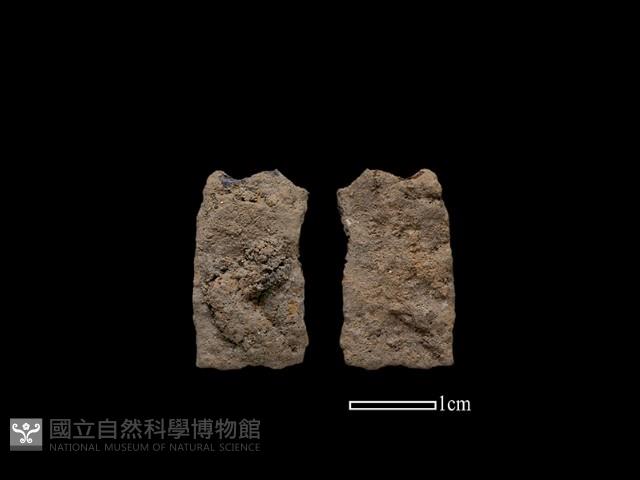 鐵片藏品圖，第1張