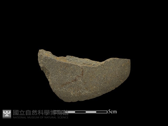磨製斧鋤形器藏品圖，第2張