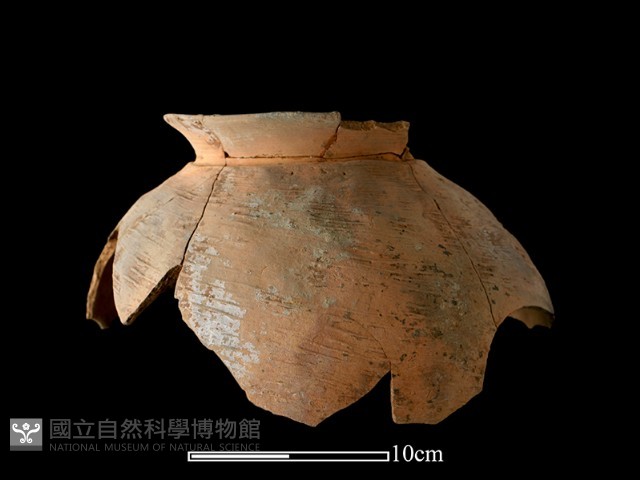 陶罐藏品圖，第2張