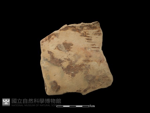 陶罐藏品圖，第1張