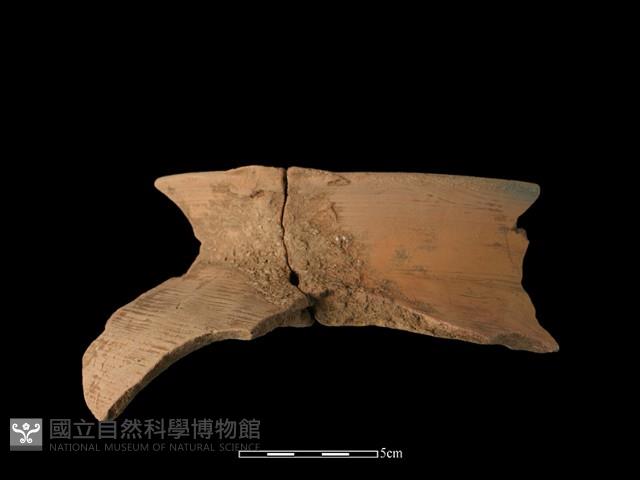 陶罐藏品圖，第1張