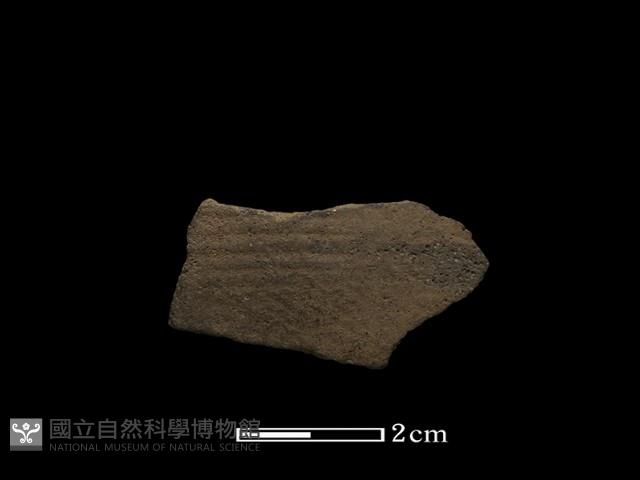 陶片藏品圖，第1張