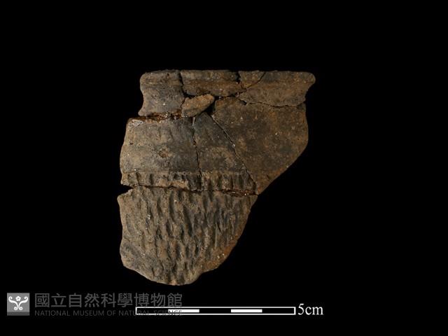 陶片藏品圖，第1張