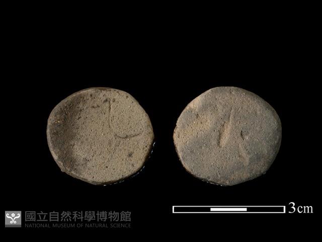 陶片藏品圖，第1張