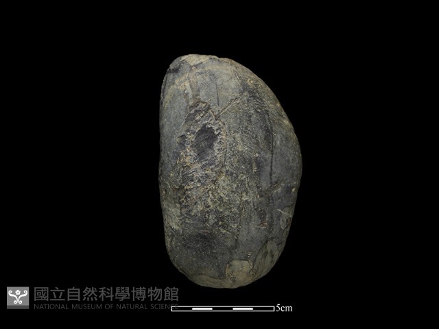 石鎚藏品圖，第1張