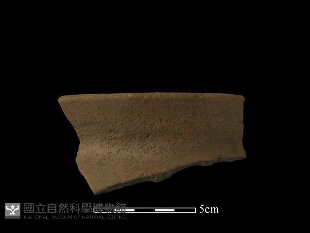 陶片藏品圖，第2張