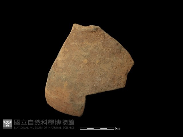 陶罐藏品圖，第2張