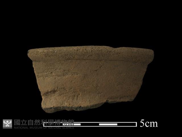 陶片藏品圖，第1張