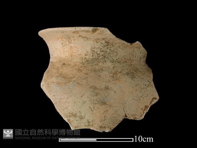 陶罐藏品圖，第1張