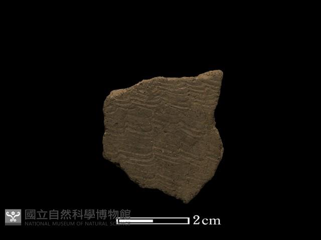 陶片藏品圖，第1張