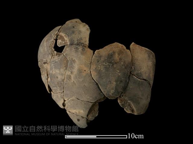 陶罐藏品圖，第2張