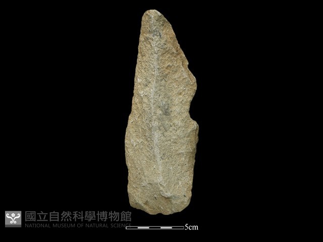 斧鋤形器藏品圖，第1張