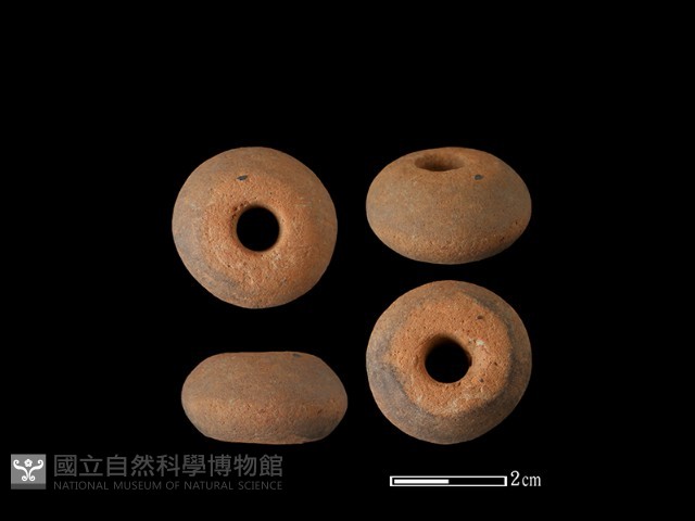 紡輪藏品圖，第1張