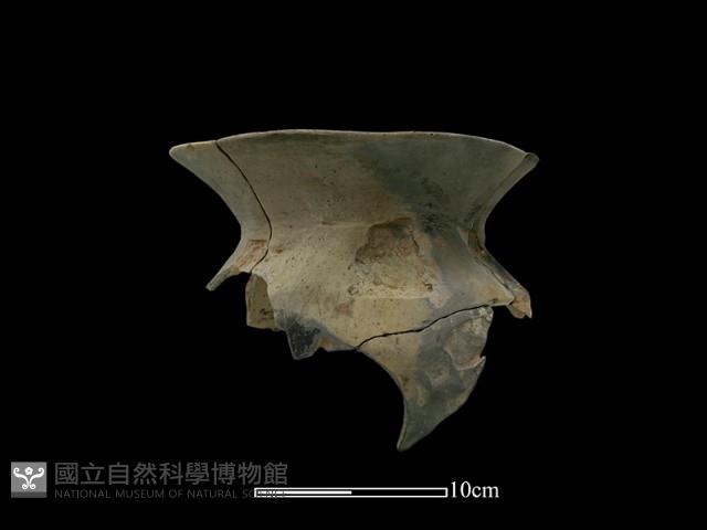 陶罐藏品圖，第1張