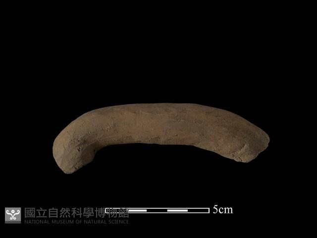 陶把藏品圖，第1張