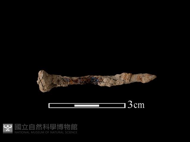 鐵釘藏品圖，第1張