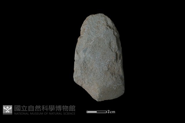 錛鑿形器藏品圖，第2張
