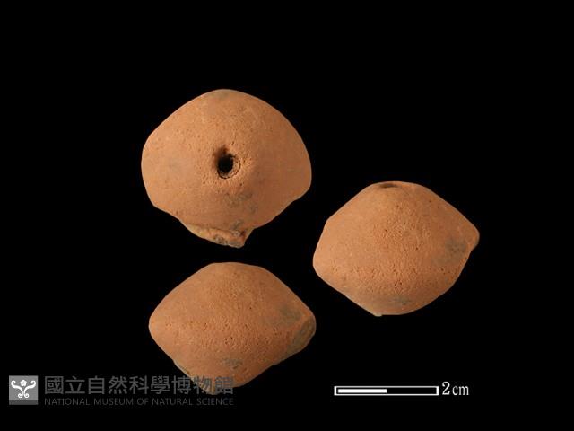 紡輪藏品圖，第1張