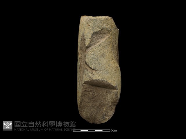 石鎚藏品圖，第1張