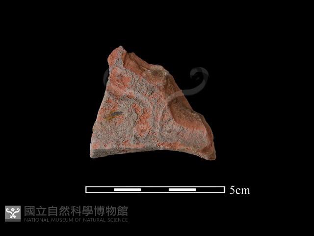 連杯形器藏品圖，第1張