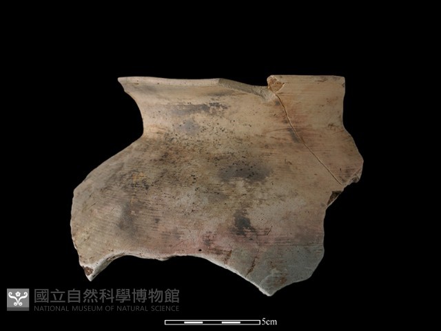 陶罐藏品圖，第1張