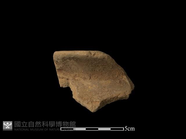 陶罐藏品圖，第1張