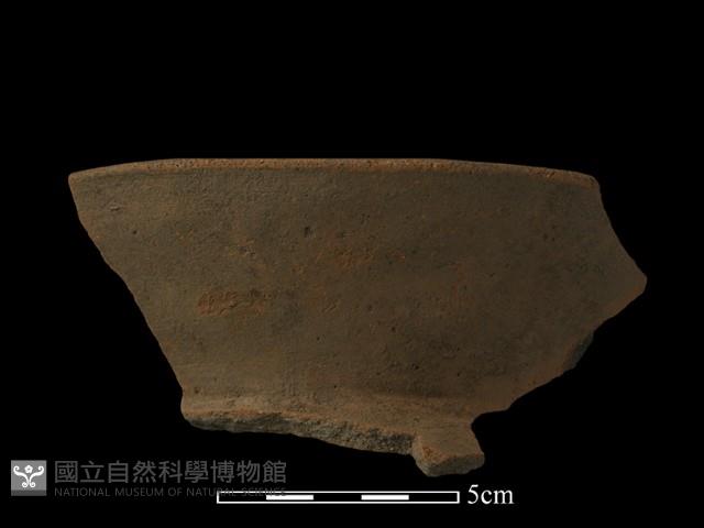 陶片藏品圖，第2張