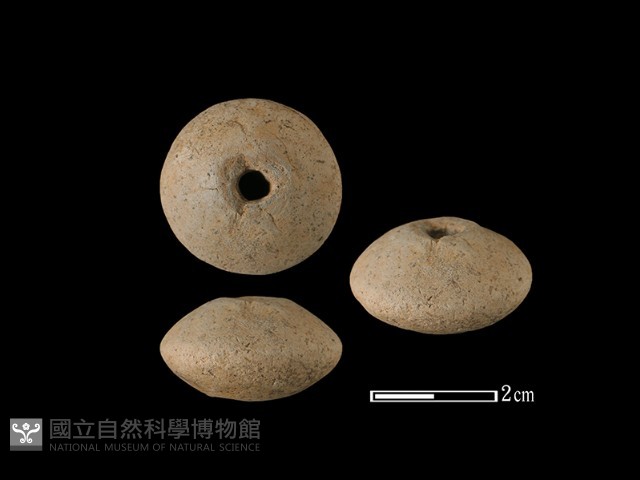 紡輪藏品圖，第1張