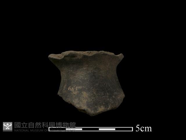 陶片藏品圖，第2張