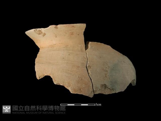 陶罐藏品圖，第1張