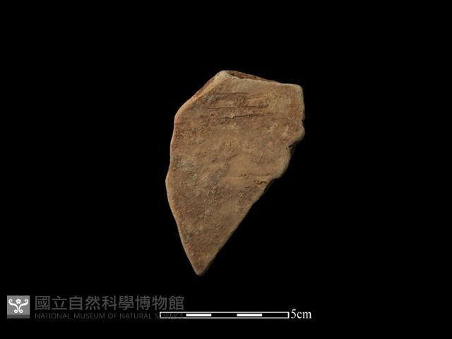 陶片藏品圖，第1張