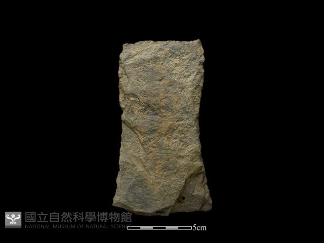 斧鋤形器藏品圖，第1張
