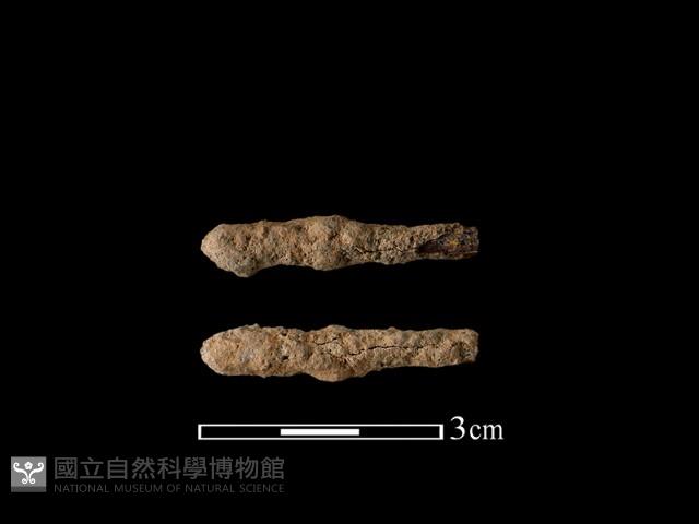 尖器藏品圖，第1張