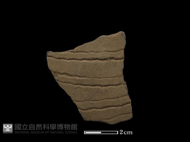 陶片藏品圖，第2張