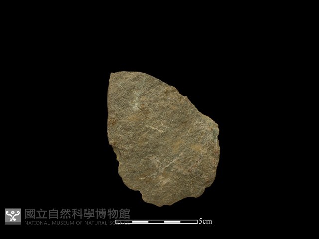 磨製斧鋤形器藏品圖，第2張