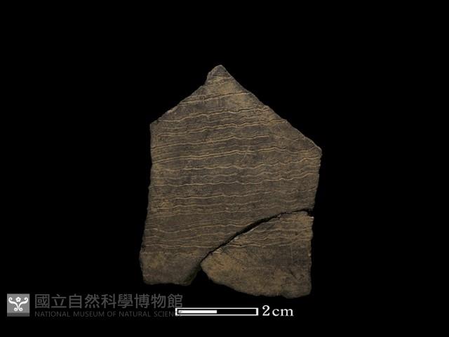 陶片藏品圖，第1張