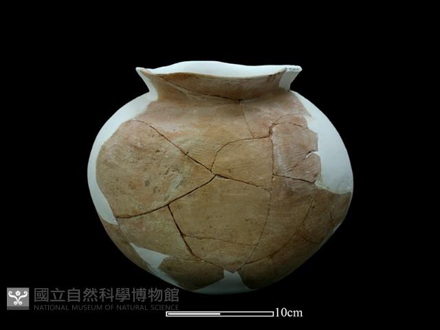 陶罐藏品圖，第2張