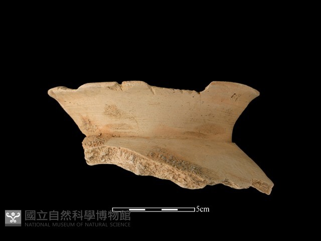 陶罐藏品圖，第1張