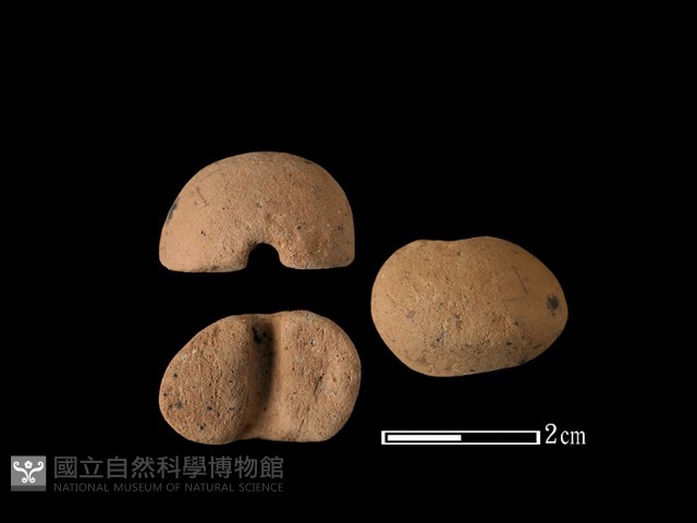 紡輪藏品圖，第1張